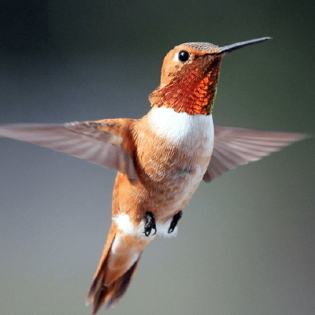 Github Ranranff Merge Ply Ply - Best City Patterns in Retina