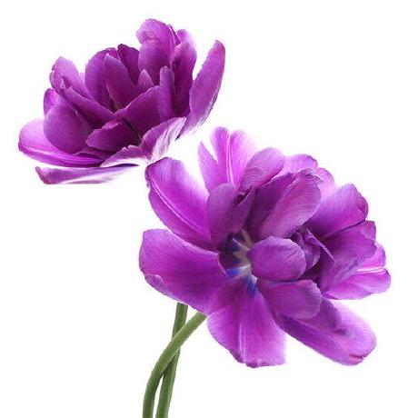 Sindhura Majji Github - Amazing Space Texture - Desktop