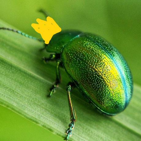 Firelight By Jadatbk - Download Amazing Minimal Illustration | Ultra HD