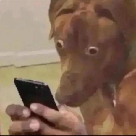 Davialbqq Davi Github - Retina Landscape Images for Desktop