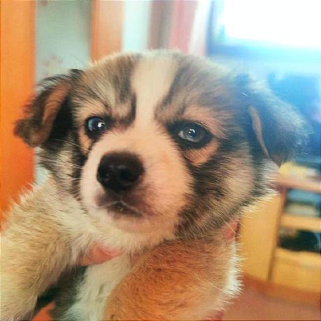 Rus 888 Github - High Quality 8K Colorful Textures | Free Download