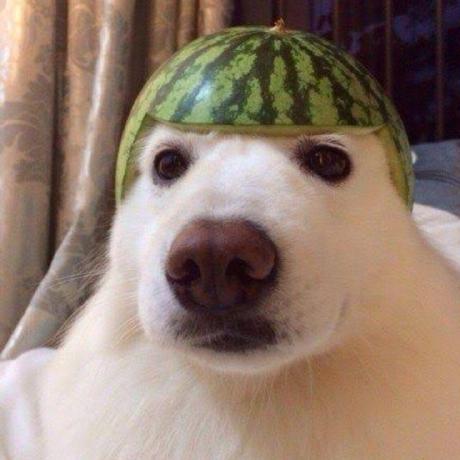 Github Abinesh Abi Course Platform - High Quality Retina Space Backgrounds | Free Download