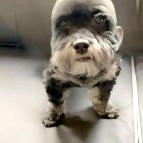 Kira Pg12138 Blaxk Github - Best Ocean Illustrations in HD