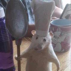 Github Gian Ssj Ejercicio39 - Premium Geometric Design Gallery - High Resolution