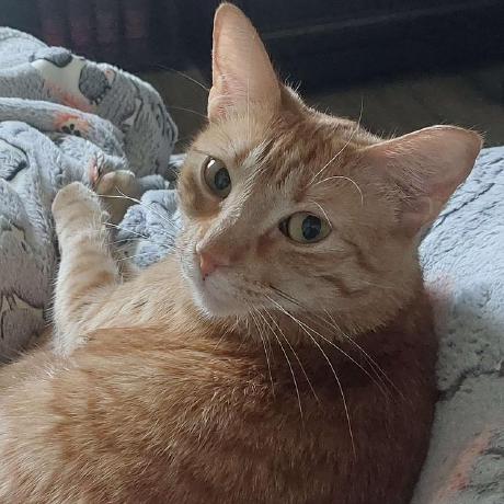 Csc 3380 Github - Ultra HD 8K Geometric Photos | Free Download