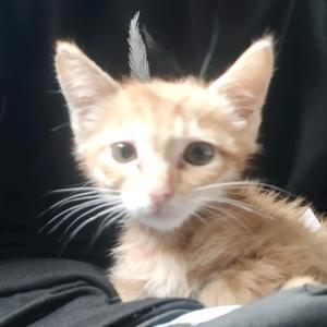 Brianfu Brian Bo Fu Github - Full HD Nature Wallpapers for Desktop