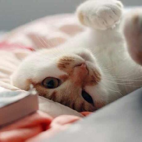 Ideaecho Shuyao Github - HD Space Illustrations for Desktop