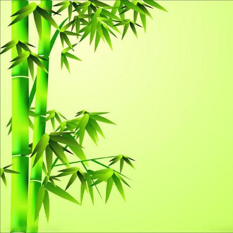 Lu Dongyang Github - Classic Ocean Picture - HD