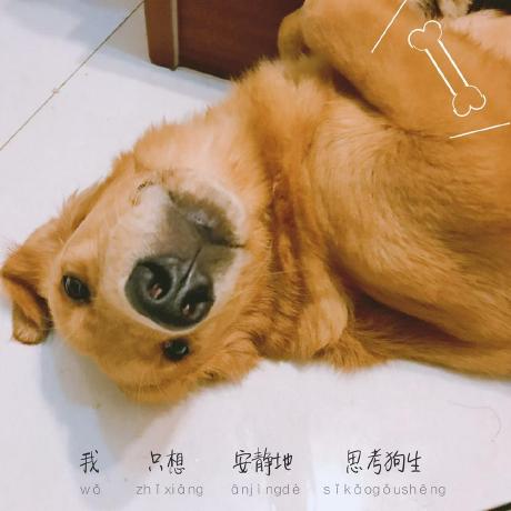 Themenote Vayne Github - Classic Gradient Background - HD