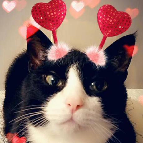 Charlyn Woodruff Github