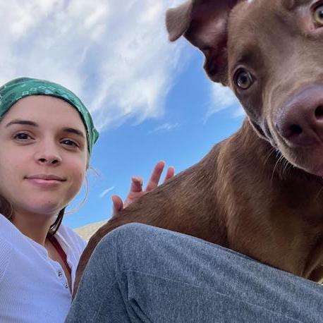 Shkrummy Yulian Shkrum Github - Light Backgrounds - Amazing Full HD Collection