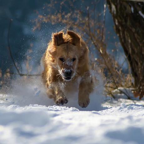 C Sar Arellano Github - Ocean Illustrations - Stunning Mobile Collection