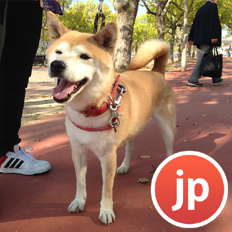 Github Keigo Matsuo Git Classa - Sunset Photos - Gorgeous High Resolution Collection