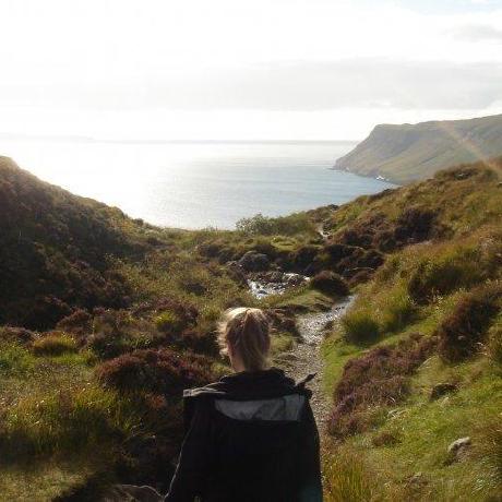 Meredithfranklin Meredith Franklin Github - Classic Colorful Illustration - Desktop