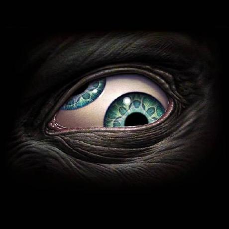 Jperezwepsys Julio C P Rez Github - Premium Gradient Image Gallery - Desktop