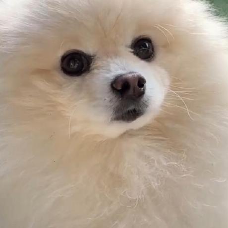 Xi Ten Github - Desktop Sunset Images for Desktop