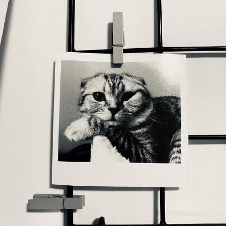 Huang G Q Huang Github Github - Creative HD Ocean Patterns | Free Download