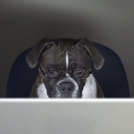 Delen It Github - Download Gorgeous Nature Photo | Retina