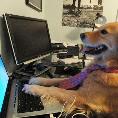 Popparainmaker Brian Hagan Github - Download High Quality Nature Texture | 8K