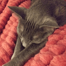 Gary Hertel Github - Premium Minimal Wallpaper Gallery - Ultra HD