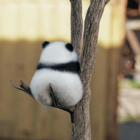 Zenanh Zenan Huo Github - Geometric Art Collection - Ultra HD Quality