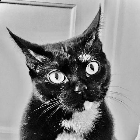 Github Erhanbaris Sgf Tool Sgf Tool - Download Gorgeous Ocean Photo | Mobile