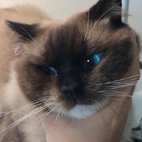 Qiubaiying Qiubaiying Github Io Wiki Github - HD Sunset Arts for Desktop