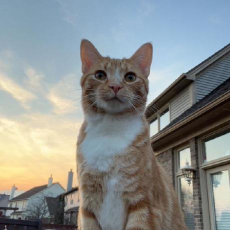 Julssssssss Julianna Gillo Github - Premium Abstract Pattern Gallery - 8K