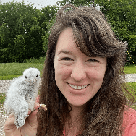 Github Danforthcenter Plantcv Plant Phenotyping With Image Analysis - Colorful Backgrounds - Stunning HD Collection