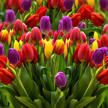 Schulte Landwehr Github - Download Gorgeous City Wallpaper | 4K