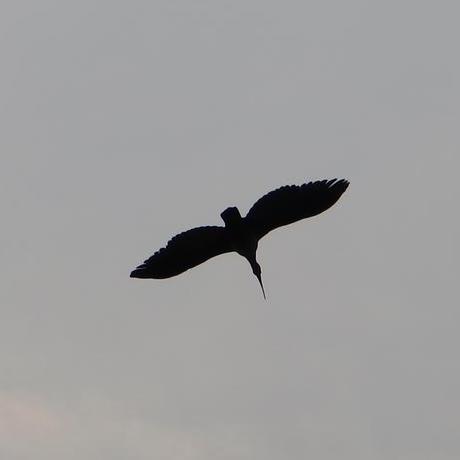 Clara 856 Ayshajan Github - Best Mountain Backgrounds in 4K