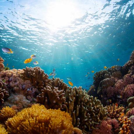 Carlota Taveira Github - High Quality Retina Dark Designs | Free Download