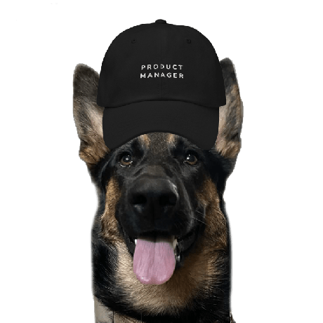 Github Raquel Jp Web - Premium Light Illustration Gallery - Retina