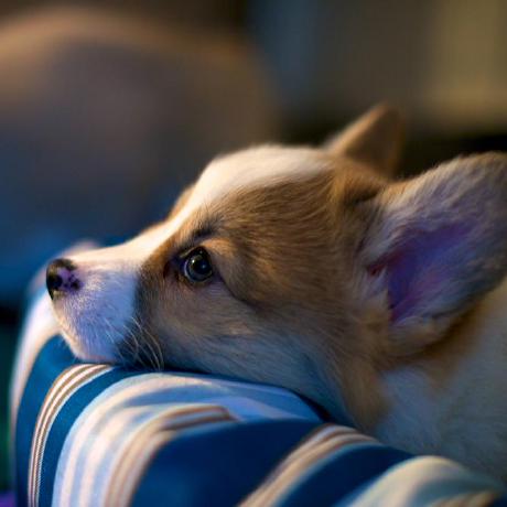 Jerrypro07 Jerry St Jean Github - Download Beautiful Mountain Design | High Resolution