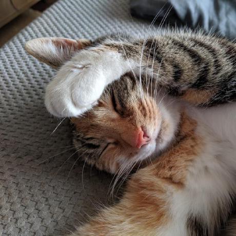 Jaydensluiter Jayden Sluiter Github - Download Creative Space Picture | 4K