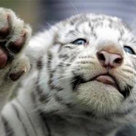 Luan Labs Github - Beautiful Full HD Minimal Photos | Free Download