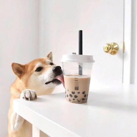 Evolution X Hzm Github - Gradient Textures - High Quality High Resolution Collection