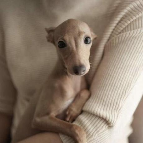 Katelynthestargazer Katelyn Github - 4K Landscape Pictures for Desktop