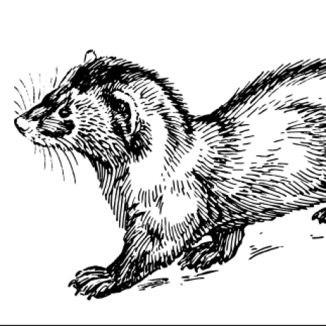 Github Geekhero22 Telas Ferret Web - Artistic Minimal Texture - Desktop