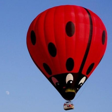 Core Of Banyan Github - Best Ocean Backgrounds in Mobile