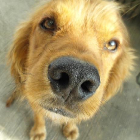 Zhang Jingxuan Github - Stunning Minimal Image - Retina