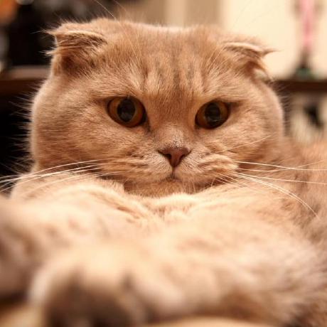 Github Qinantang Vienna Psim Vienna Psim - City Picture Collection - Full HD Quality