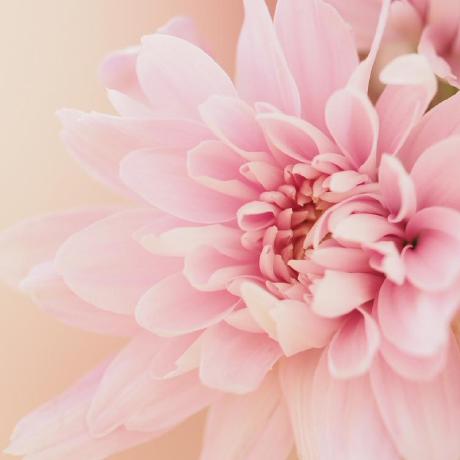 Laxx1612 Laxman S Github - Premium Gradient Pattern Gallery - Full HD