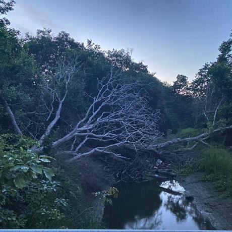 2271 33 Gif - Download Modern Landscape Texture | Ultra HD