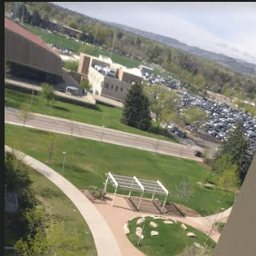 Ldn147 Aldair Aldana Github - Amazing Nature Pattern - Full HD