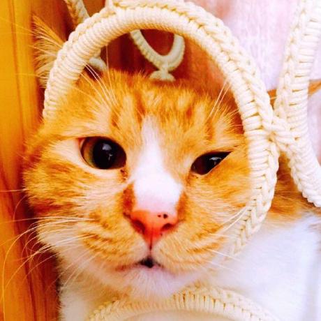 Metang Meng Tang Github - Ocean Illustrations - Elegant Full HD Collection