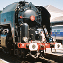 Erremme Raffaele Molinaro Github - Download Elegant Nature Pattern | 4K