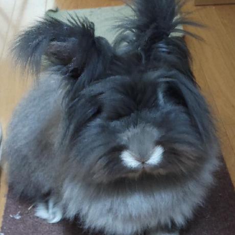 Kitagawa Jwits Github - Space Backgrounds - Gorgeous 4K Collection