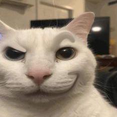 Abraao Bulir Github - Download Ultra HD Mountain Pattern | High Resolution