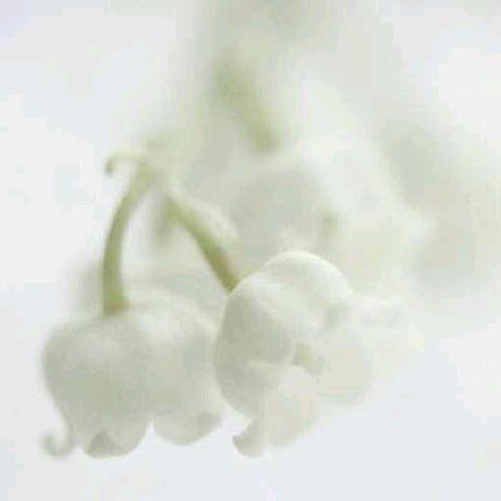 Github Quartzether Zenflowers - City Patterns - Amazing 4K Collection